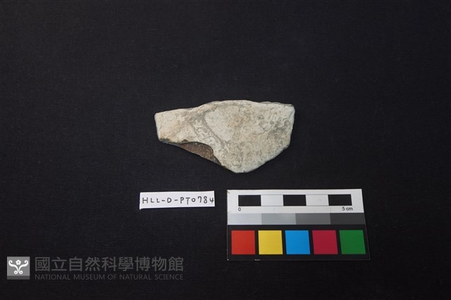 陶片藏品圖，第1張