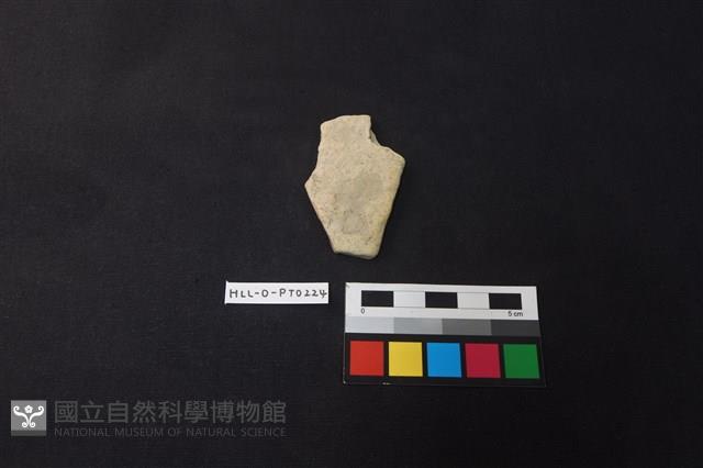 陶片藏品圖，第1張