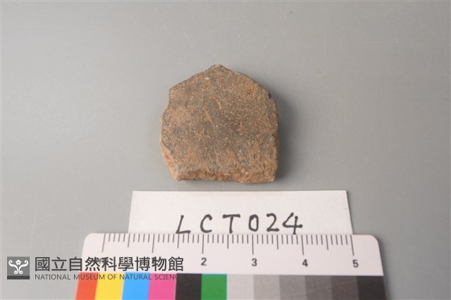 陶片藏品圖，第1張