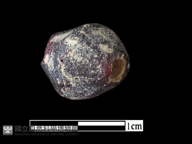 玻璃珠藏品圖，第1張