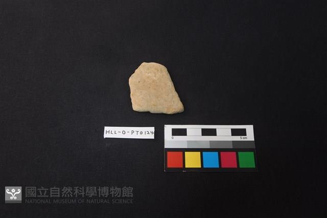 陶片藏品圖，第1張