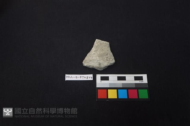 陶片藏品圖，第1張