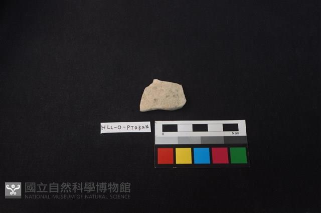 陶片藏品圖，第1張