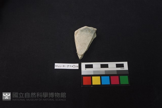 陶片藏品圖，第1張