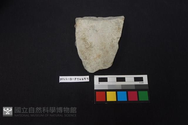 陶片藏品圖，第1張