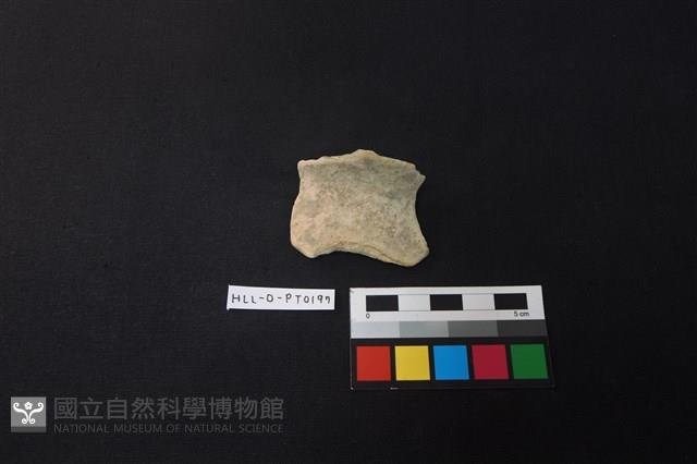 陶片藏品圖，第1張