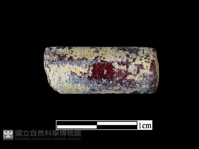 玻璃珠藏品圖，第1張