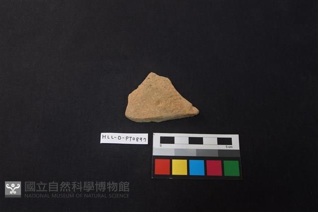 陶片藏品圖，第1張