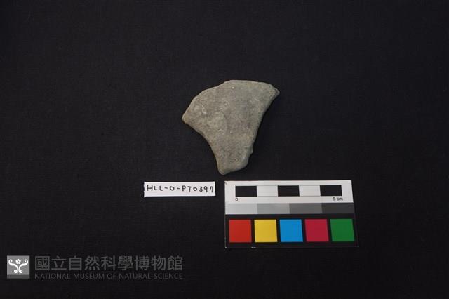 陶片藏品圖，第1張