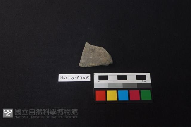 陶片藏品圖，第1張