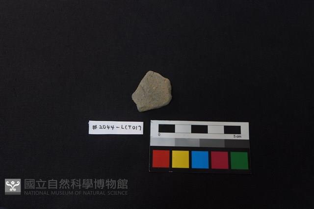 陶片藏品圖，第1張