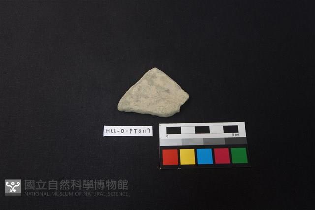 陶片藏品圖，第1張