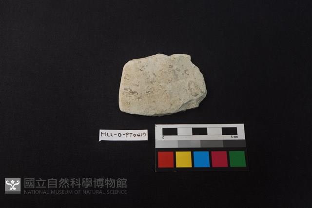 陶片藏品圖，第1張