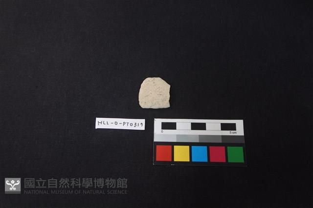 陶片藏品圖，第1張