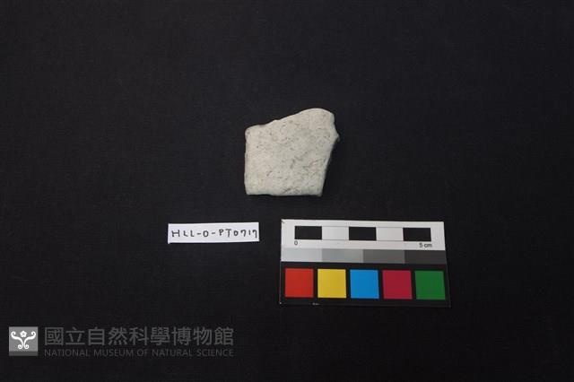 陶片藏品圖，第1張