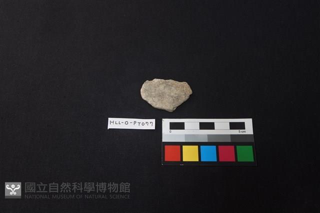 陶片藏品圖，第1張