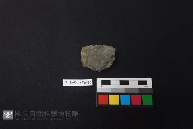 陶片藏品圖，第1張