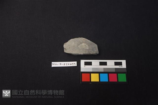 陶片藏品圖，第1張