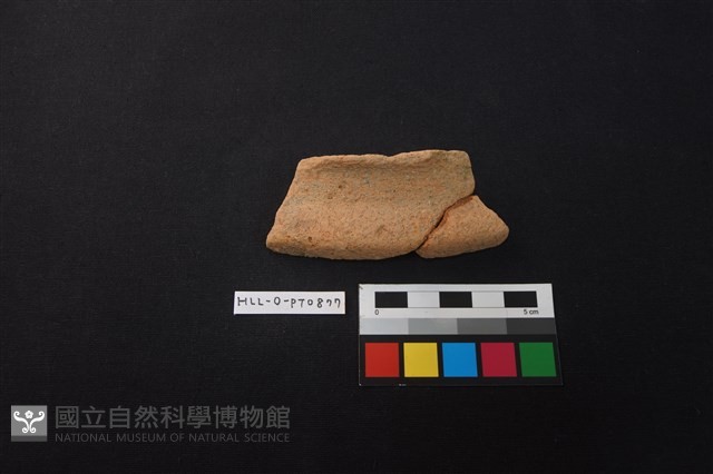 陶片藏品圖，第1張