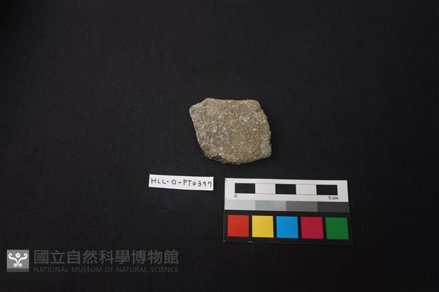 陶片藏品圖，第1張