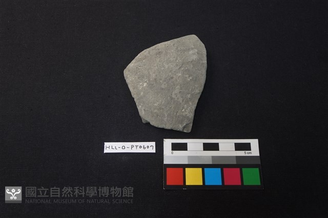 陶片藏品圖，第1張