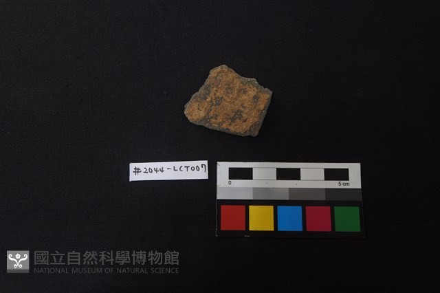 陶片藏品圖，第1張