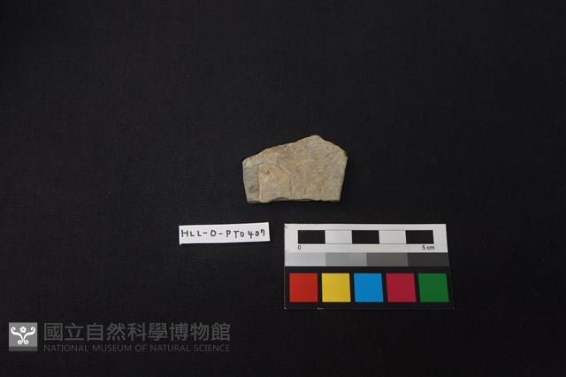 陶片藏品圖，第1張