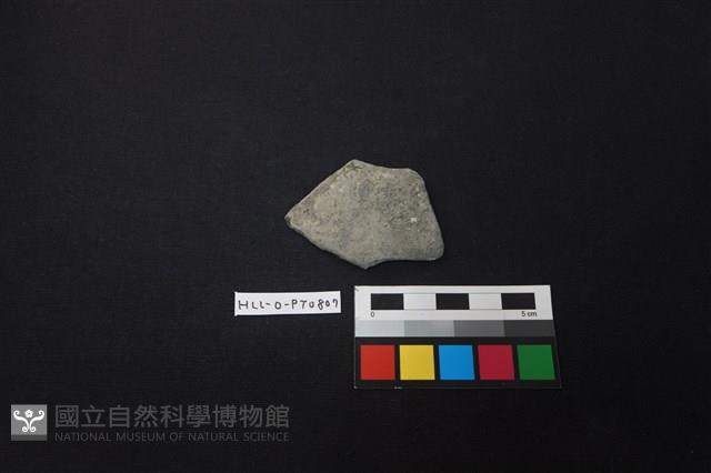 陶片藏品圖，第1張