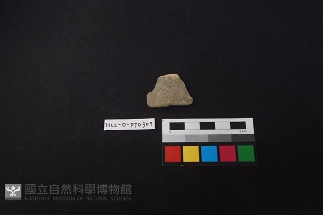 陶片藏品圖，第1張