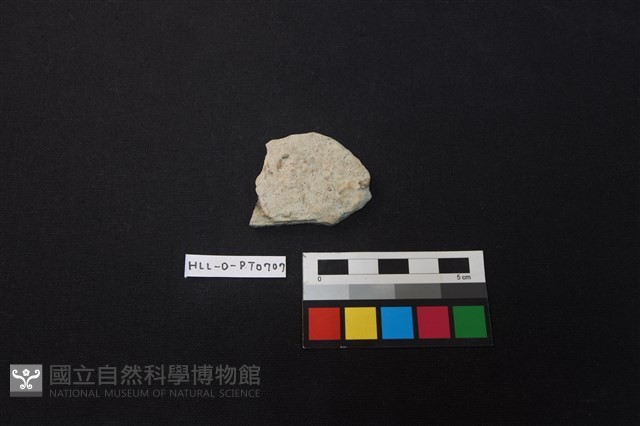 陶片藏品圖，第1張