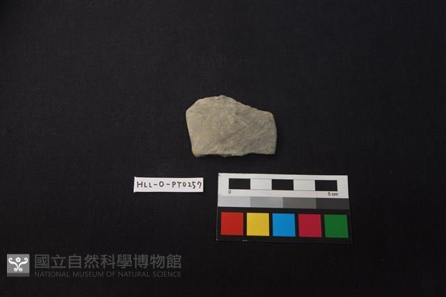 陶片藏品圖，第1張