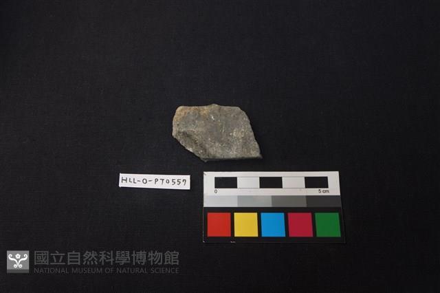 陶片藏品圖，第1張