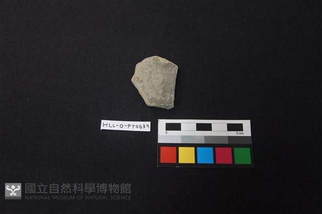 陶片藏品圖，第1張