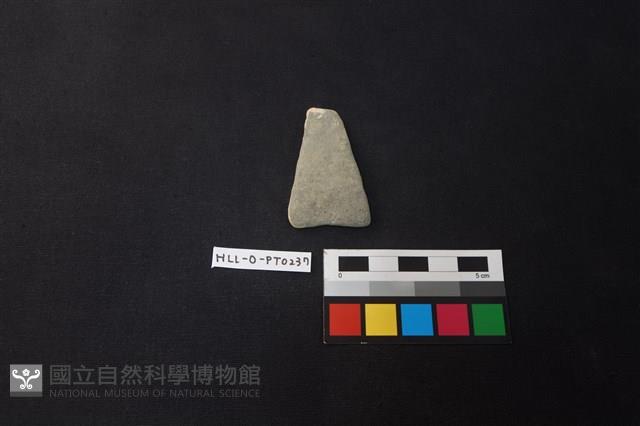 陶片藏品圖，第1張