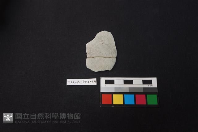 陶片藏品圖，第1張