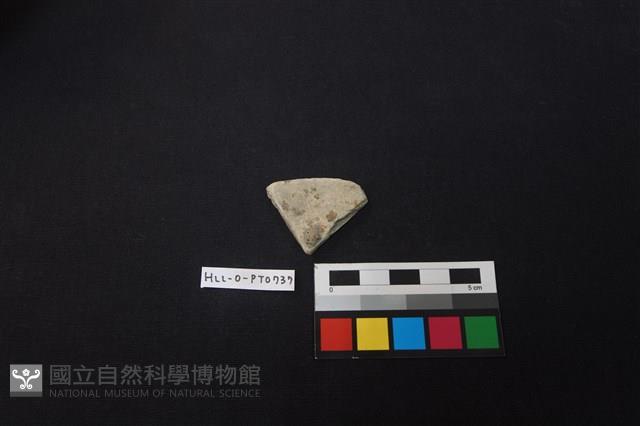 Accession Number:HLL-O-PT0737 Collection Image, Figure 1, Total 2 Figures