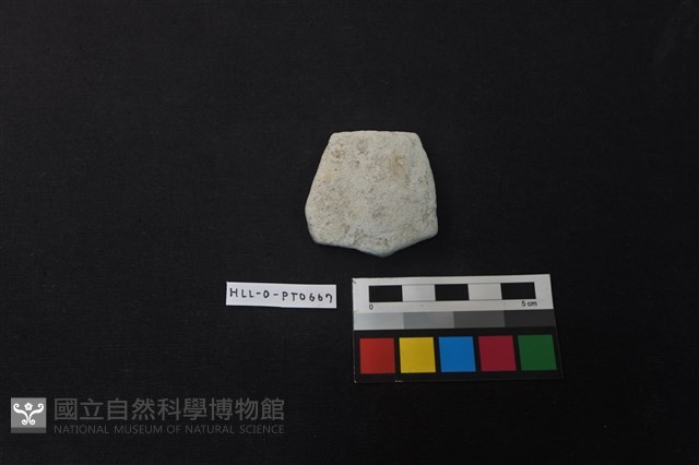 陶片藏品圖，第1張