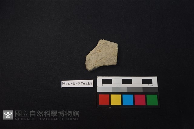 陶片藏品圖，第1張