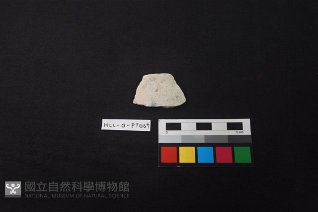 陶片藏品圖，第1張