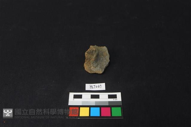 陶蓋鈕藏品圖，第1張