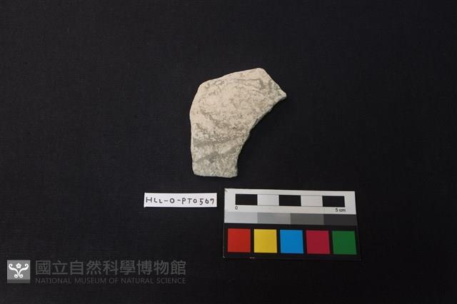 陶片藏品圖，第1張