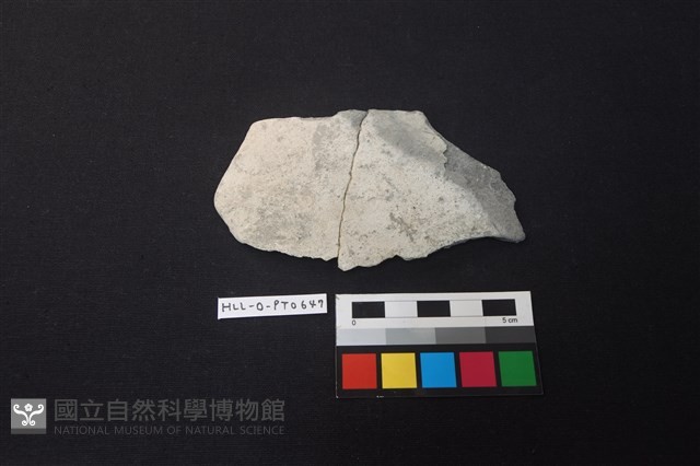 陶片藏品圖，第1張