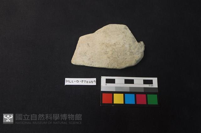 陶片藏品圖，第1張