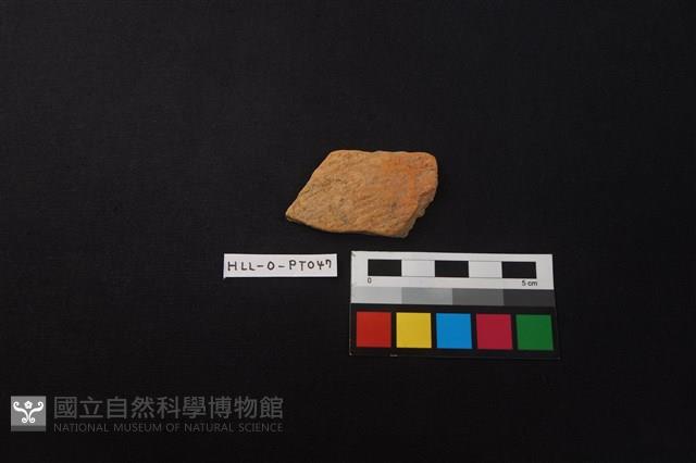 Accession Number:HLL-O-PT0047 Collection Image, Figure 1, Total 2 Figures