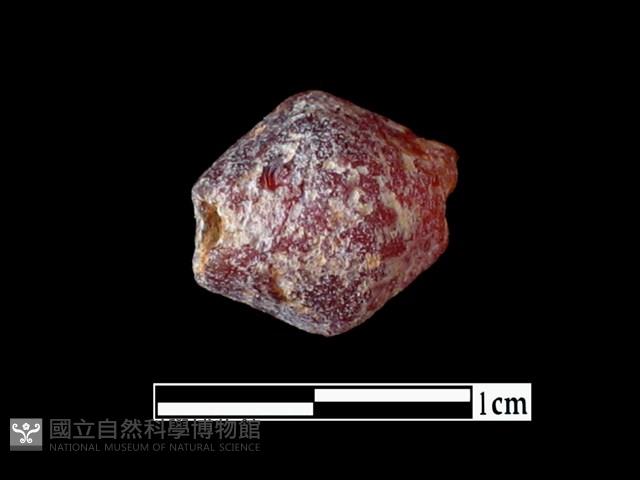 玻璃珠藏品圖，第1張