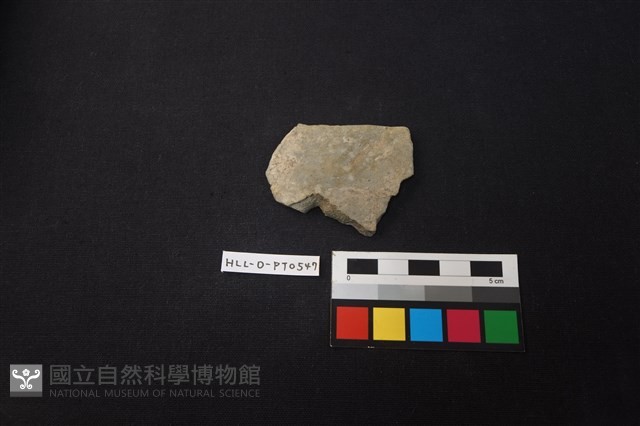 陶片藏品圖，第1張