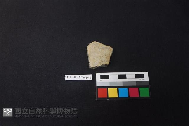 陶片藏品圖，第1張