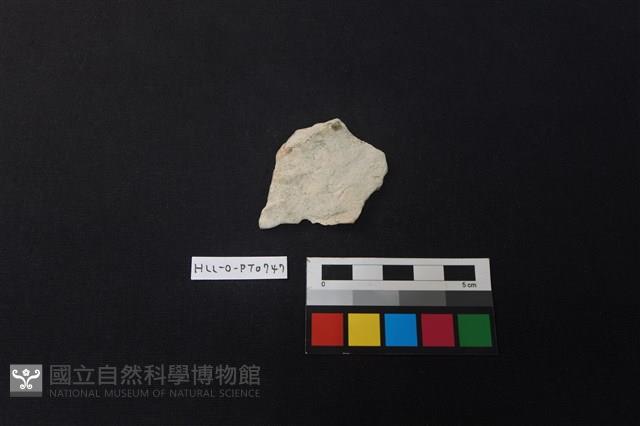 陶片藏品圖，第1張