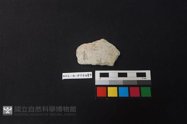 陶片藏品圖，第1張