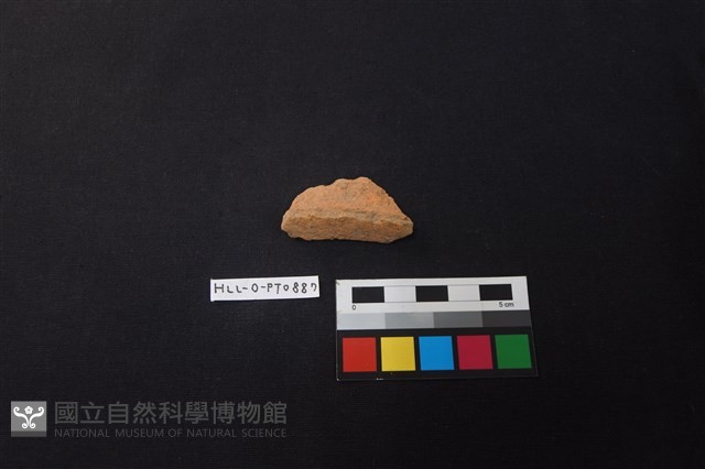 陶片藏品圖，第1張